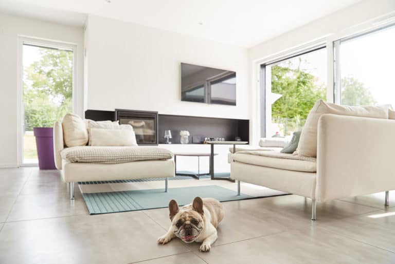 maison design