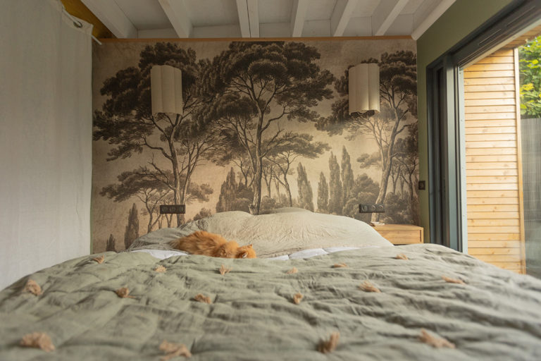 une chambre confortable et cocooning